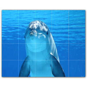 Dolphin Photo Tile Murals
