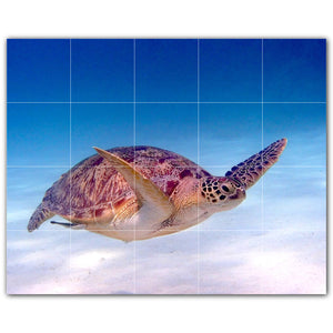 Turtle Photo Tile Murals