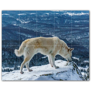 Wolf Photo Tile Murals