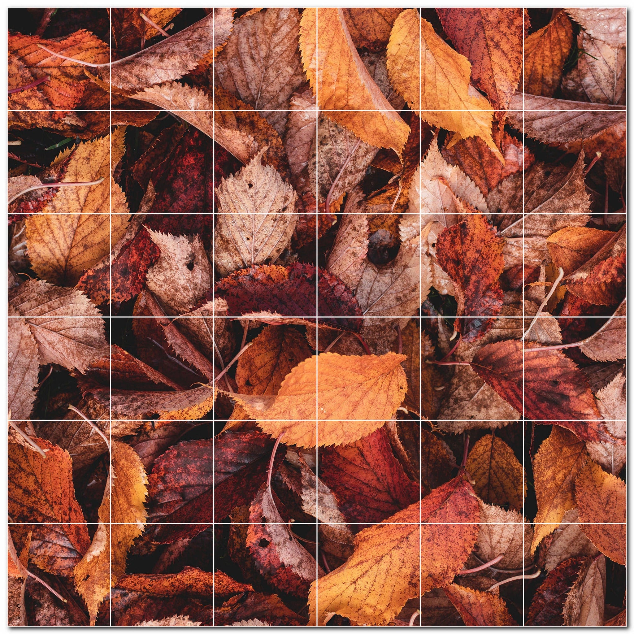 autumn ceramic tile wall mural kitchen backsplash bathroom shower p500004