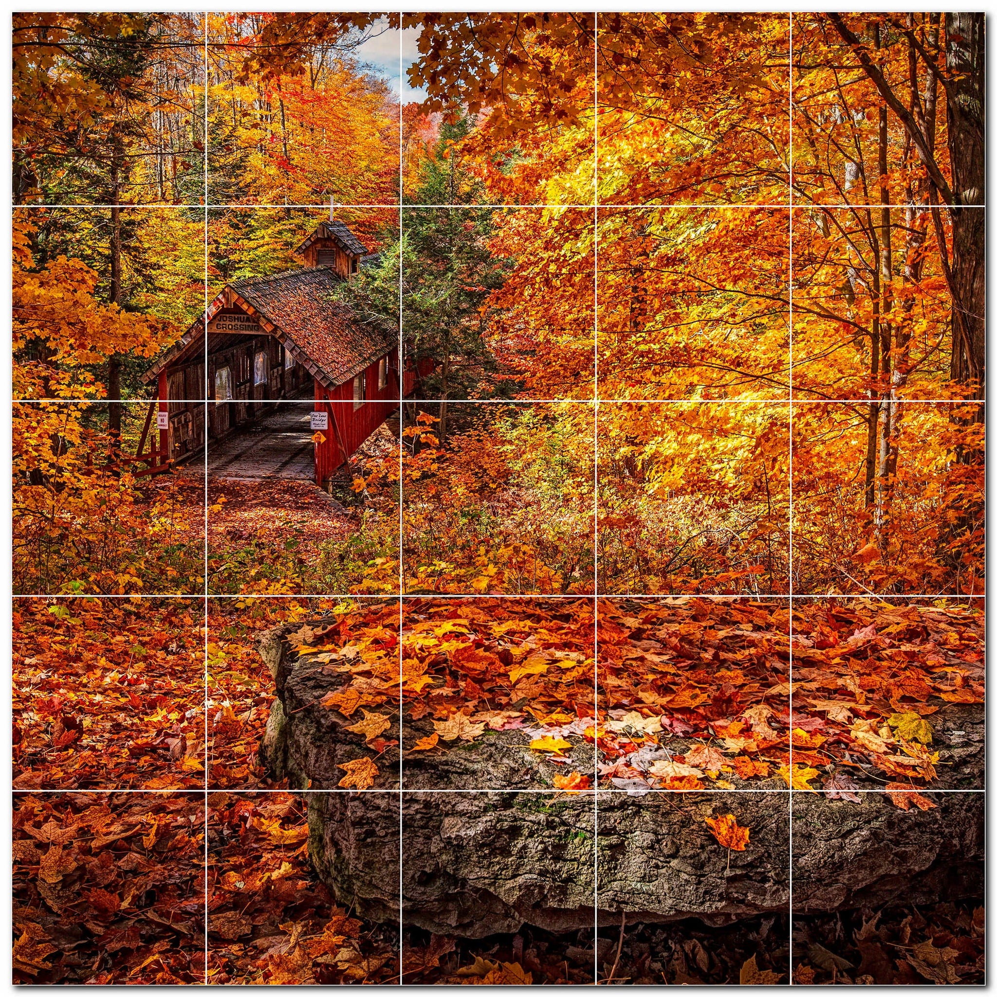 autumn ceramic tile wall mural kitchen backsplash bathroom shower p500009