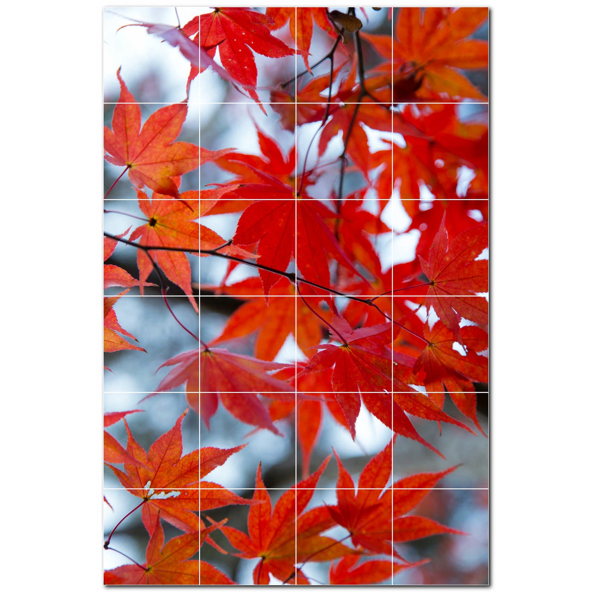 autumn ceramic tile wall mural kitchen backsplash bathroom shower p500016