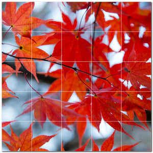 autumn ceramic tile wall mural kitchen backsplash bathroom shower p500016