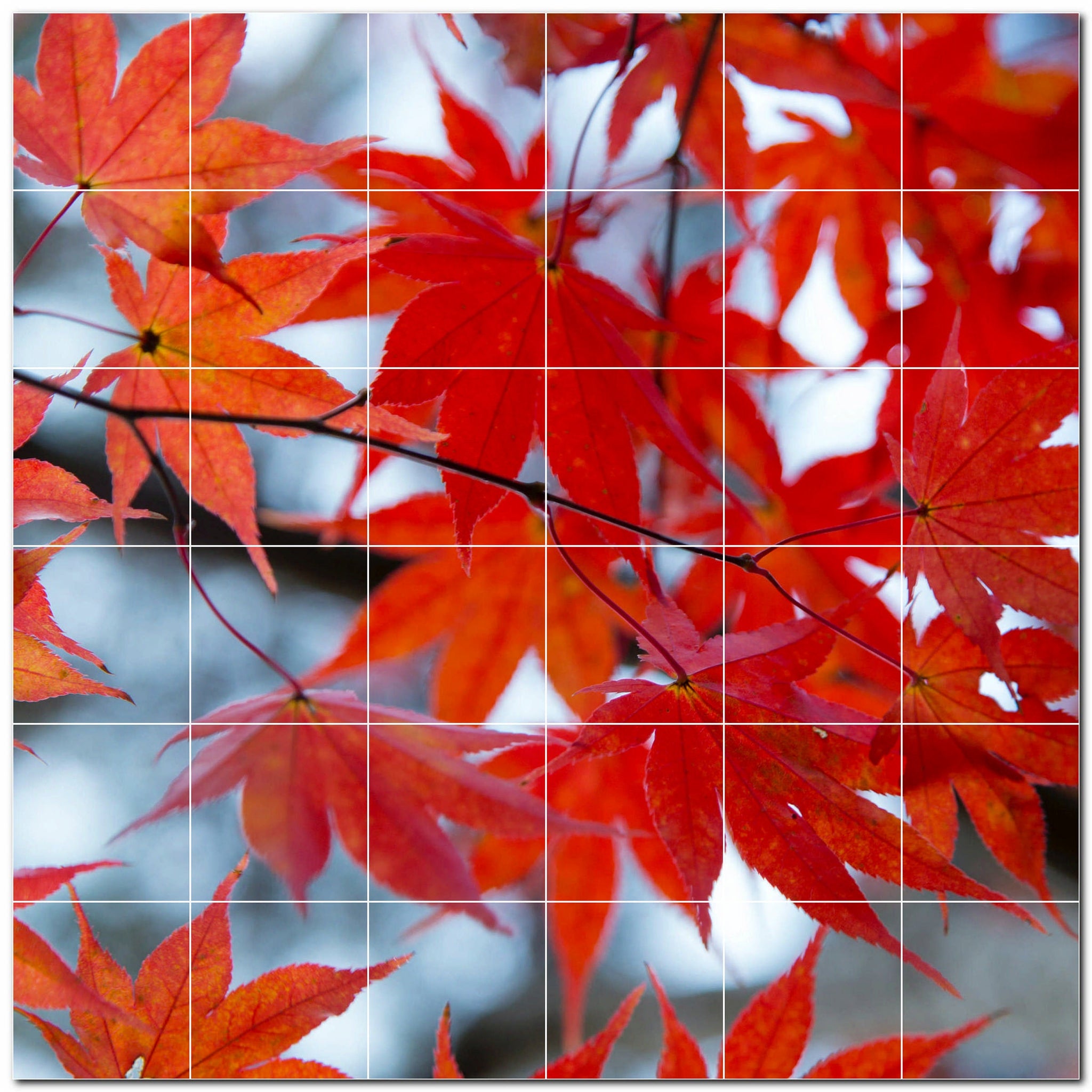 autumn ceramic tile wall mural kitchen backsplash bathroom shower p500016