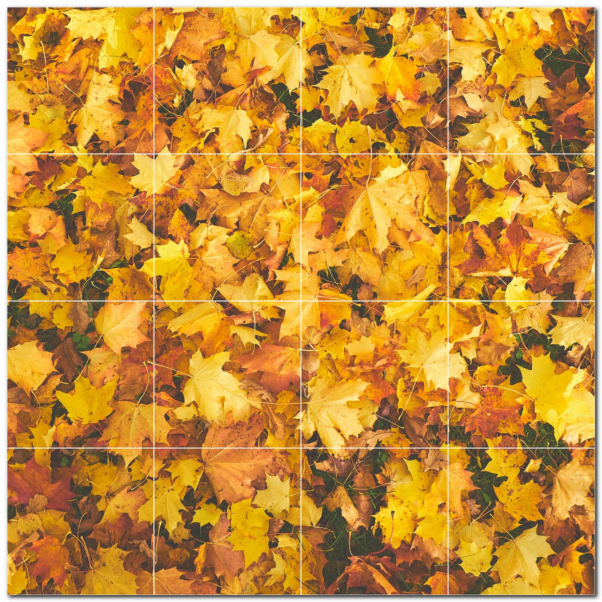 Autumn Photo Tile Murals – Picture-Tiles.com