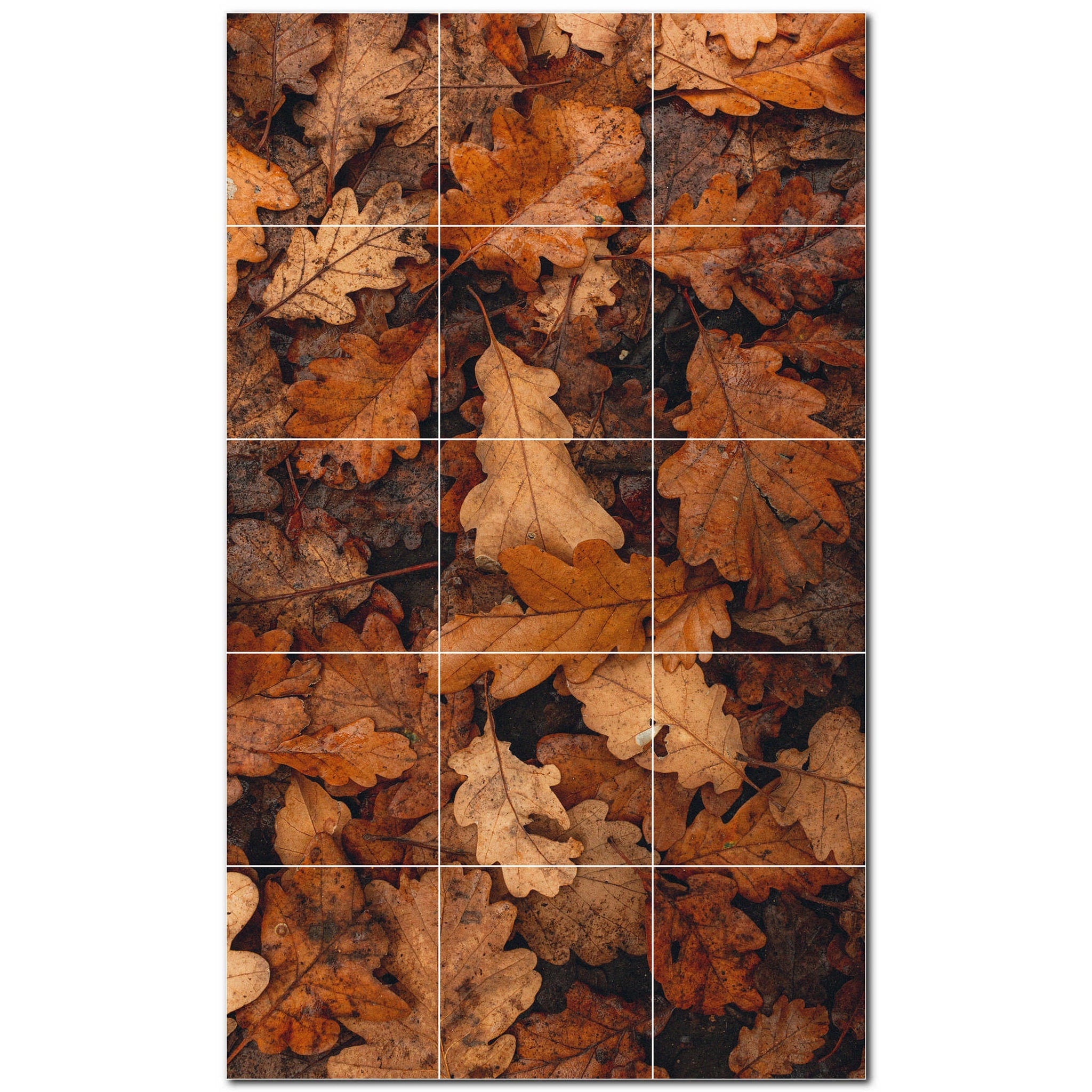 Autumn Photo Tile Murals – Picture-Tiles.com