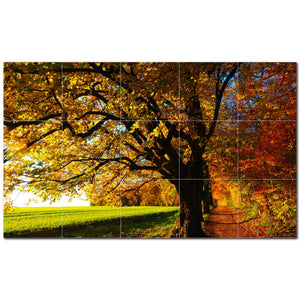 autumn ceramic tile wall mural kitchen backsplash bathroom shower p500026