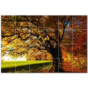 autumn ceramic tile wall mural kitchen backsplash bathroom shower p500026