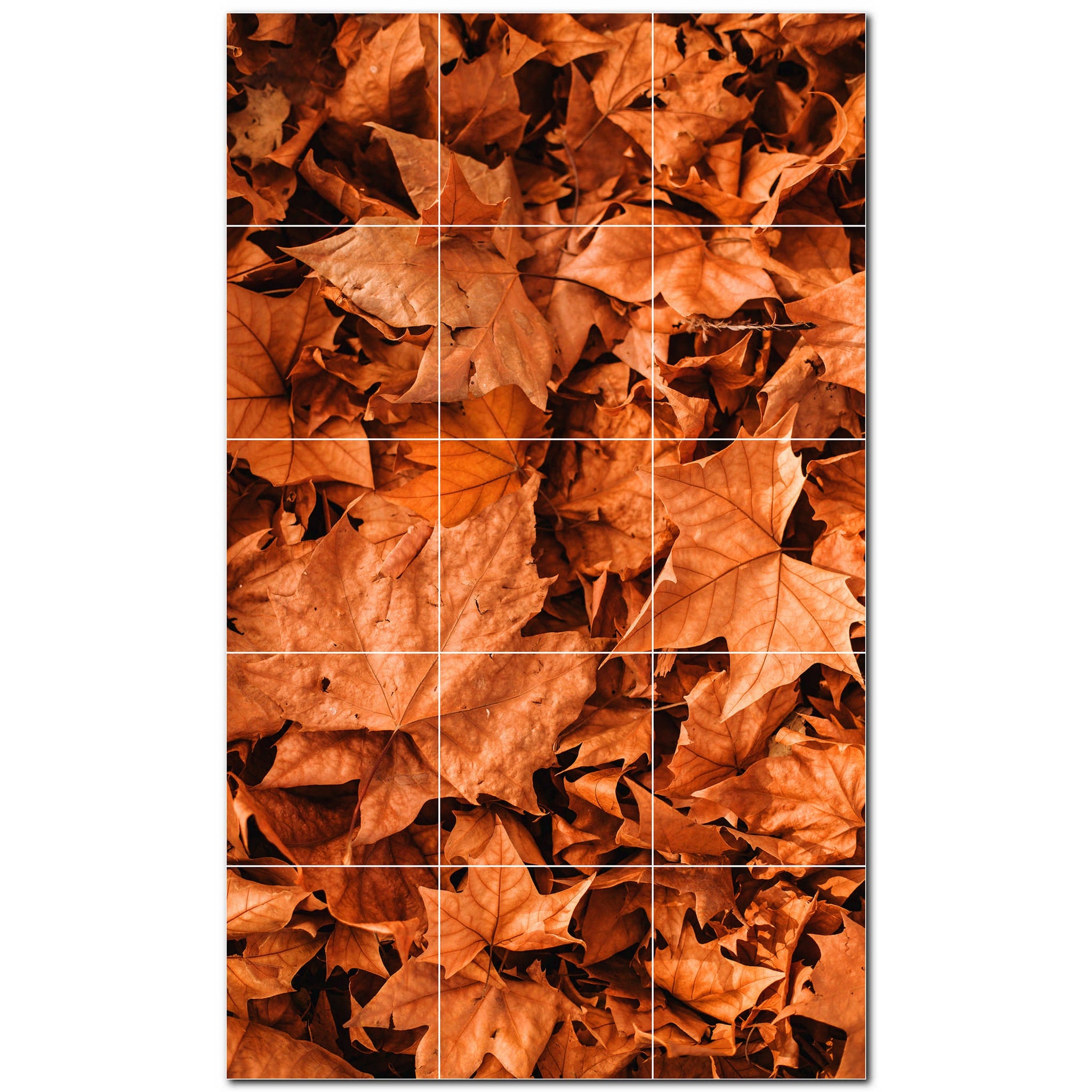 Autumn Photo Tile Murals – Picture-Tiles.com