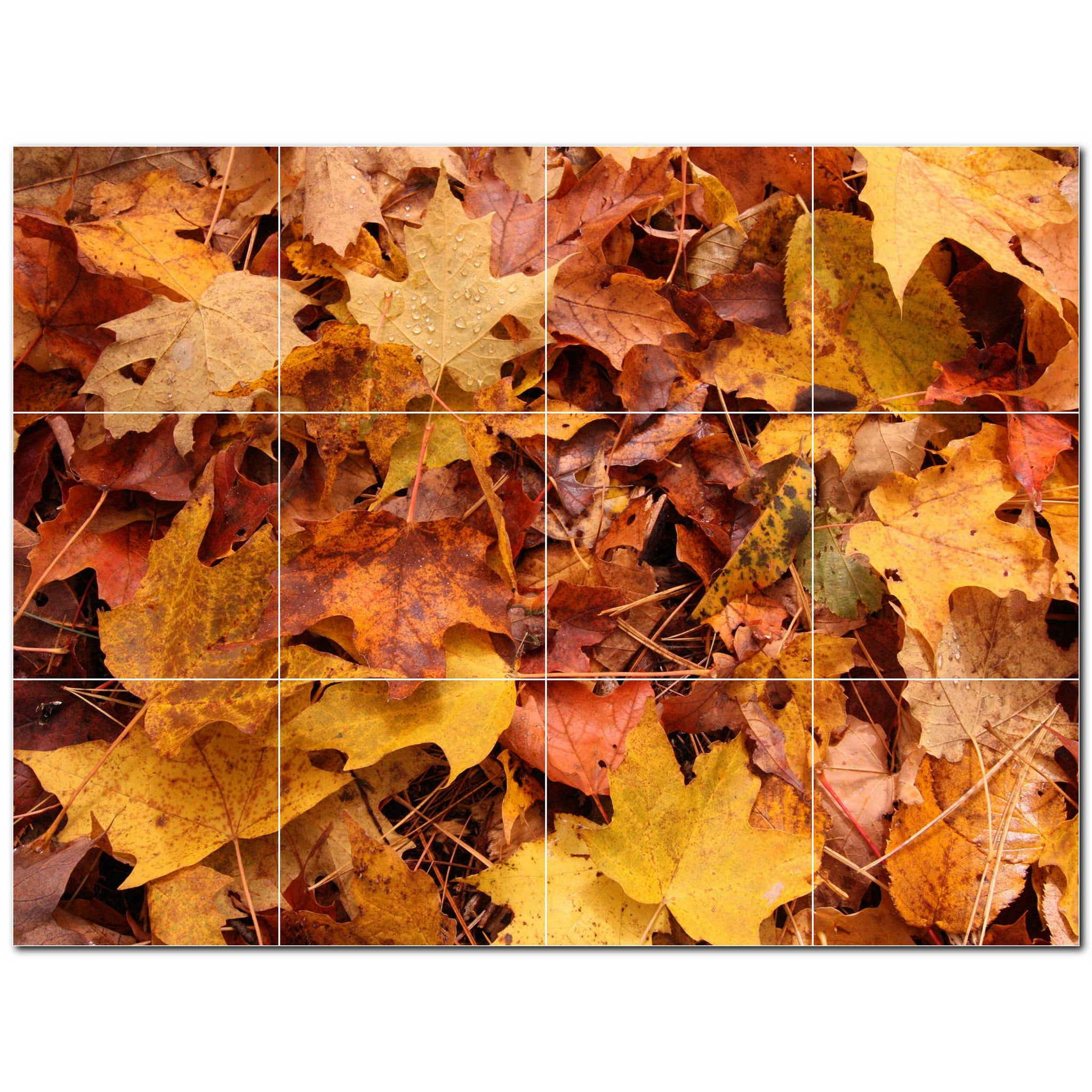 Autumn Photo Tile Murals – Picture-Tiles.com