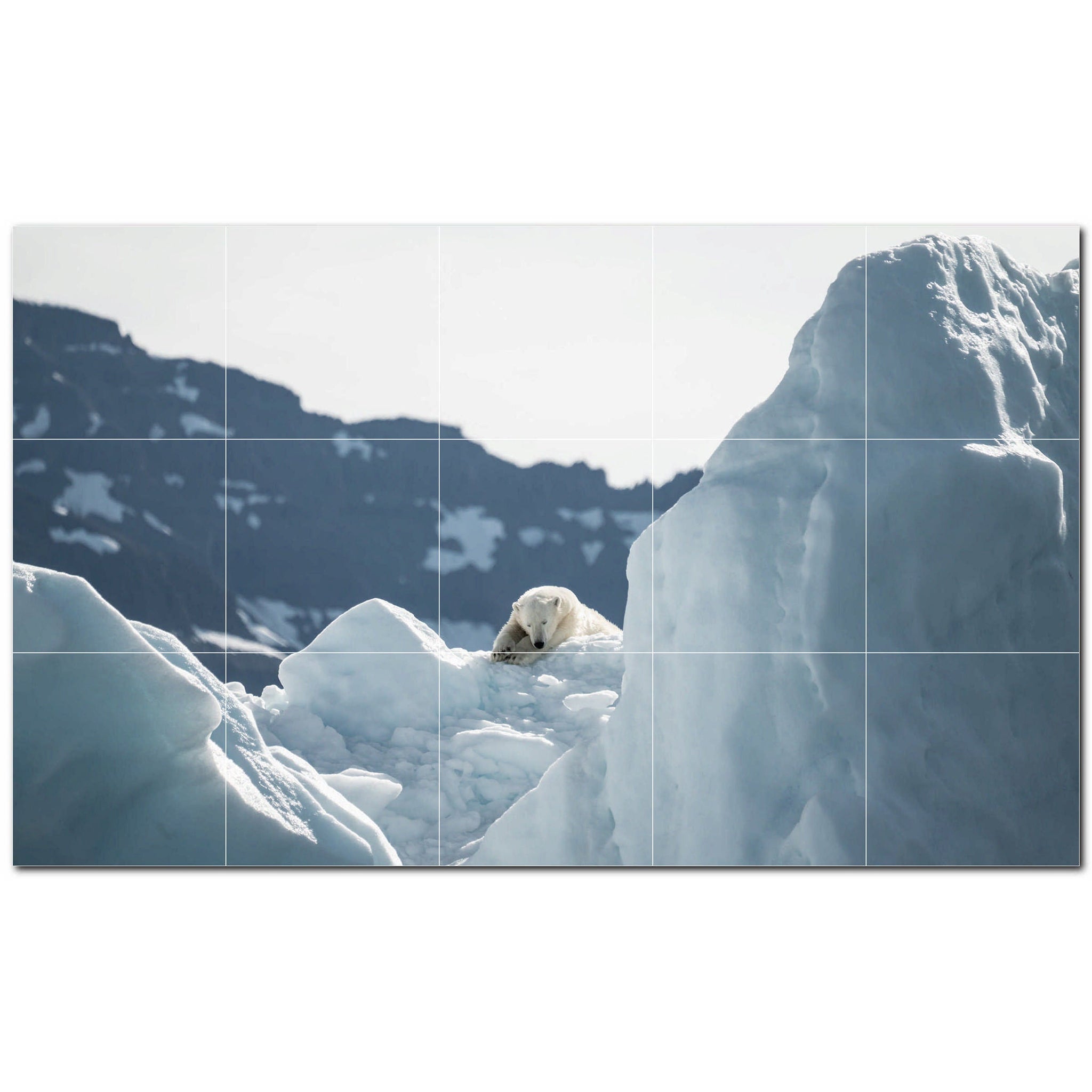 bear ceramic tile wall mural kitchen backsplash bathroom shower p500107