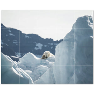 bear ceramic tile wall mural kitchen backsplash bathroom shower p500107