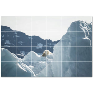 bear ceramic tile wall mural kitchen backsplash bathroom shower p500107