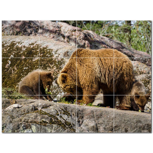 bear ceramic tile wall mural kitchen backsplash bathroom shower p500113