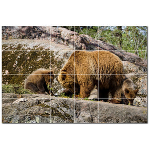 bear ceramic tile wall mural kitchen backsplash bathroom shower p500113