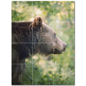 bear ceramic tile wall mural kitchen backsplash bathroom shower p500116