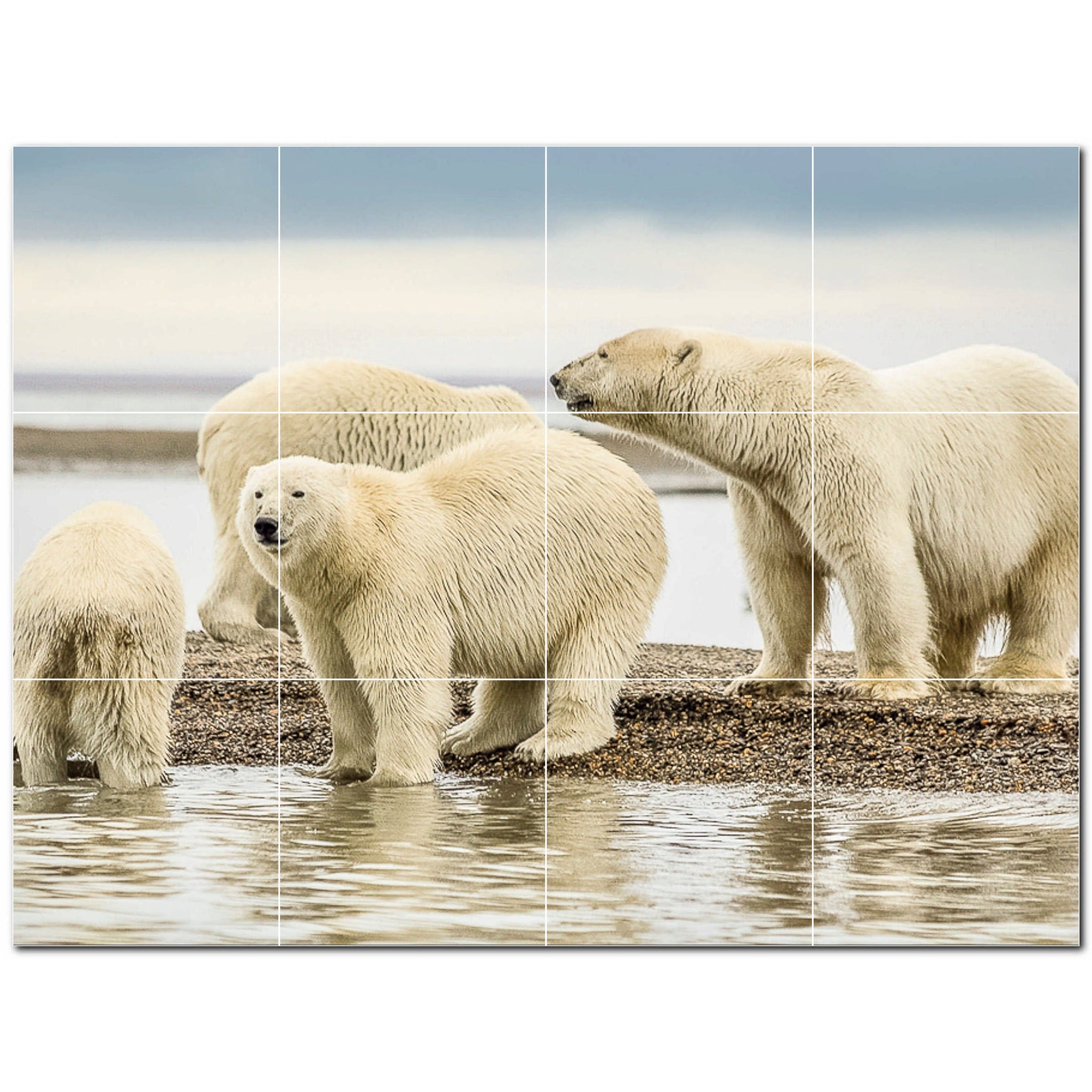 bear ceramic tile wall mural kitchen backsplash bathroom shower p500121