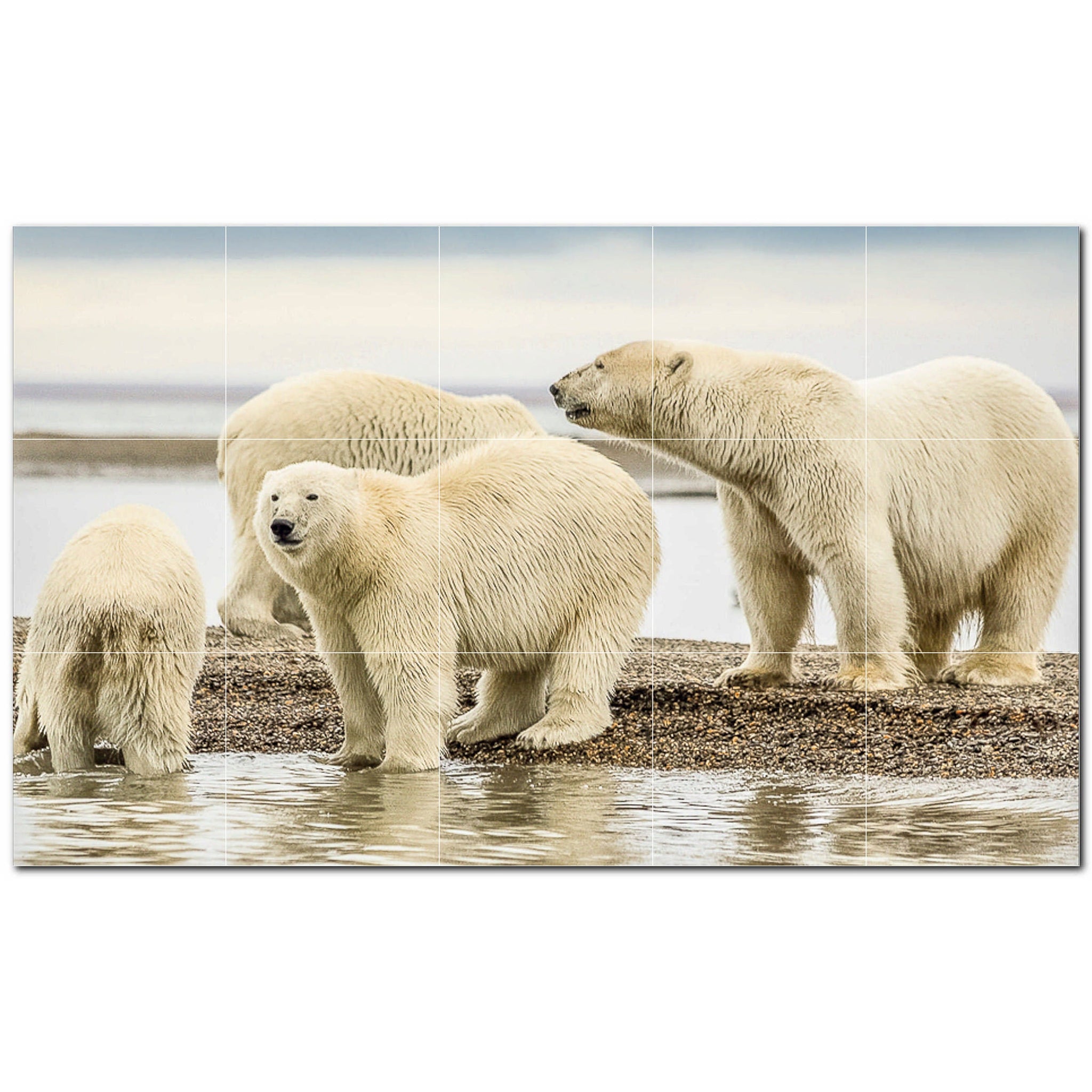 bear ceramic tile wall mural kitchen backsplash bathroom shower p500121