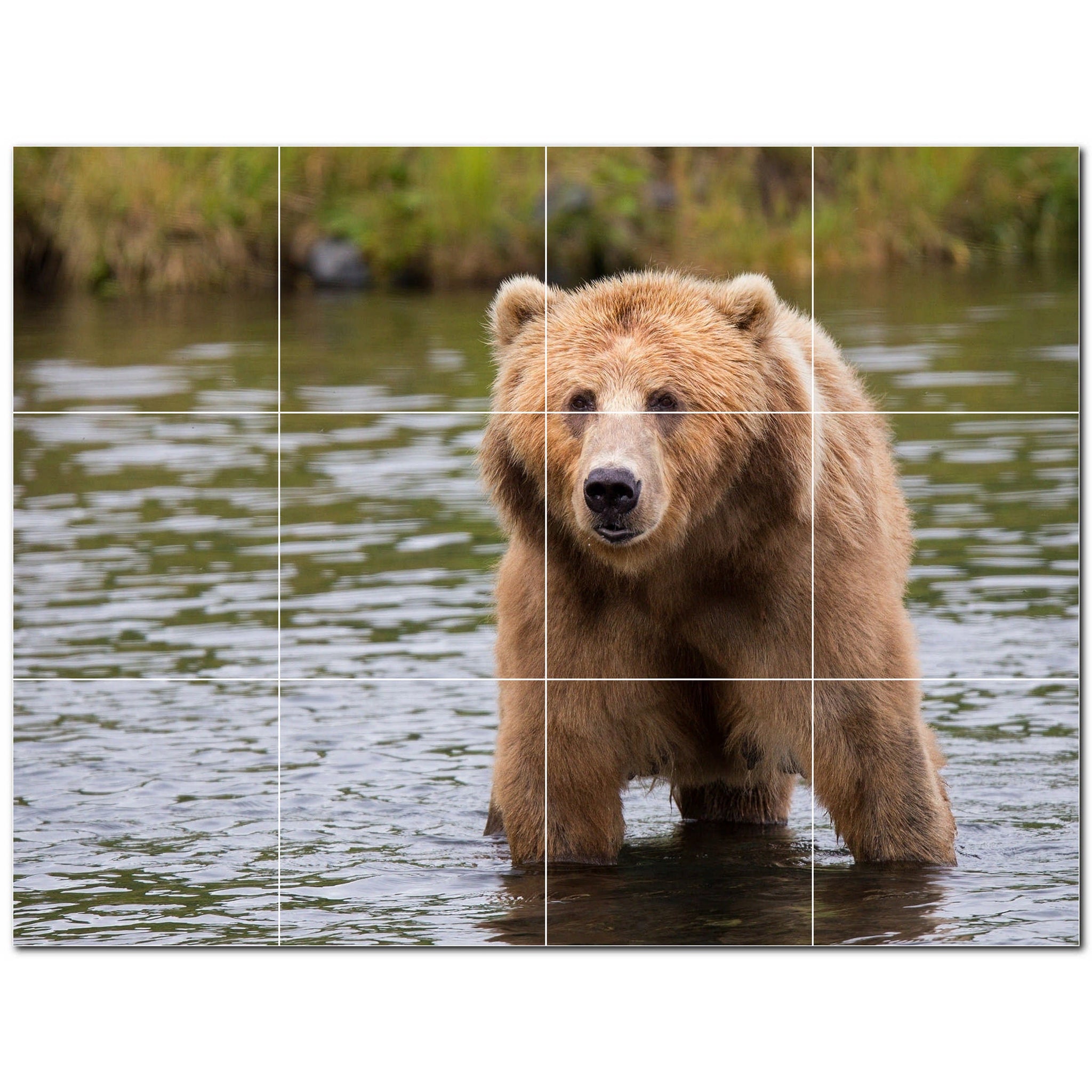 bear ceramic tile wall mural kitchen backsplash bathroom shower p500126