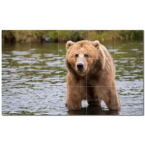 bear ceramic tile wall mural kitchen backsplash bathroom shower p500126