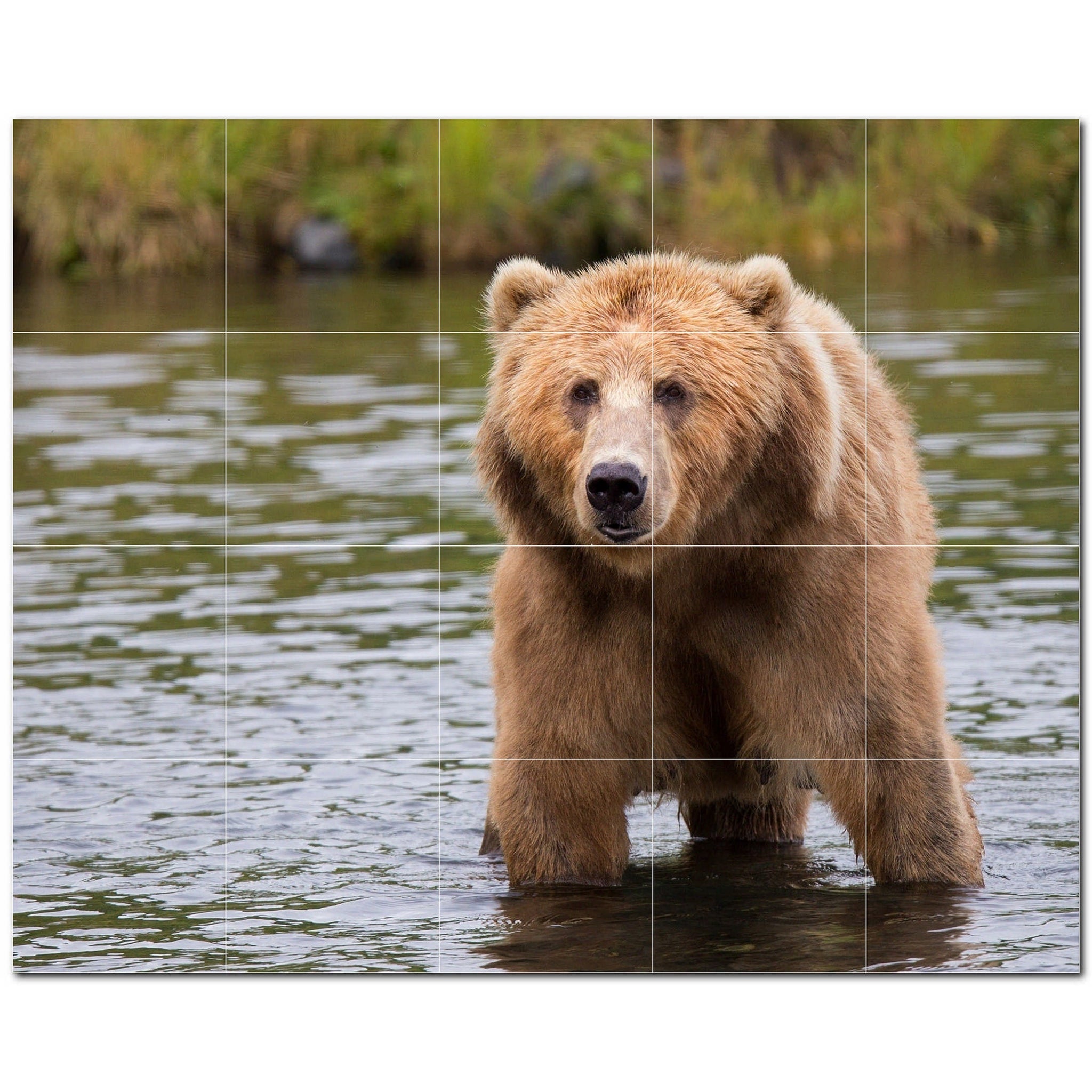 bear ceramic tile wall mural kitchen backsplash bathroom shower p500126