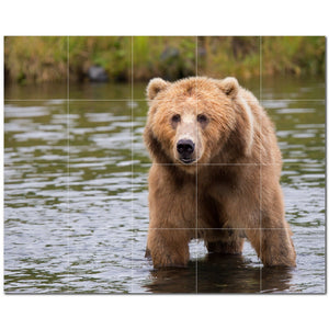 bear ceramic tile wall mural kitchen backsplash bathroom shower p500126