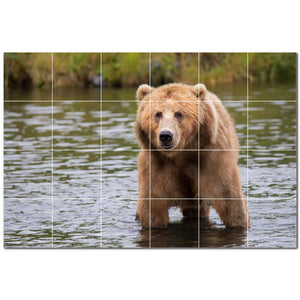 bear ceramic tile wall mural kitchen backsplash bathroom shower p500126