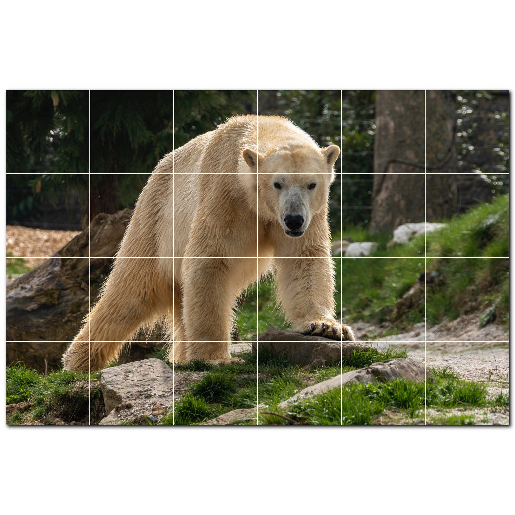 bear ceramic tile wall mural kitchen backsplash bathroom shower p500128