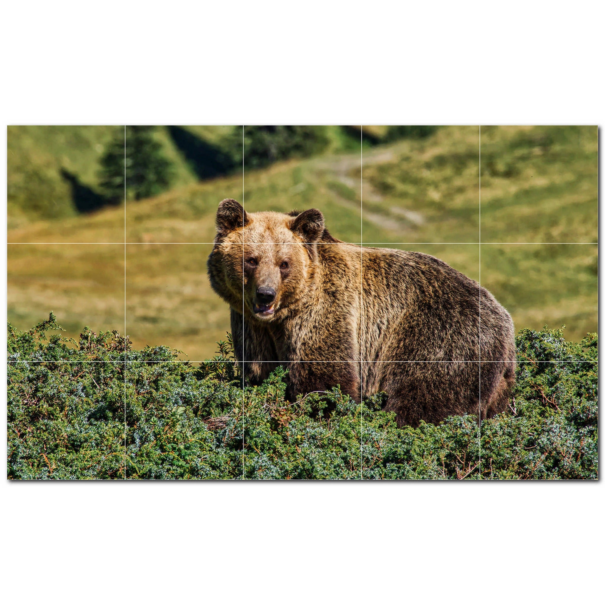 bear ceramic tile wall mural kitchen backsplash bathroom shower p500129