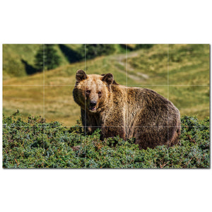 bear ceramic tile wall mural kitchen backsplash bathroom shower p500129