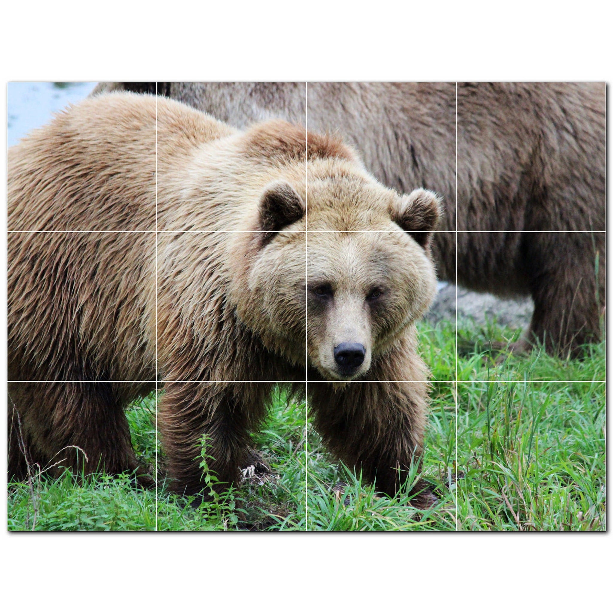 bear ceramic tile wall mural kitchen backsplash bathroom shower p500131