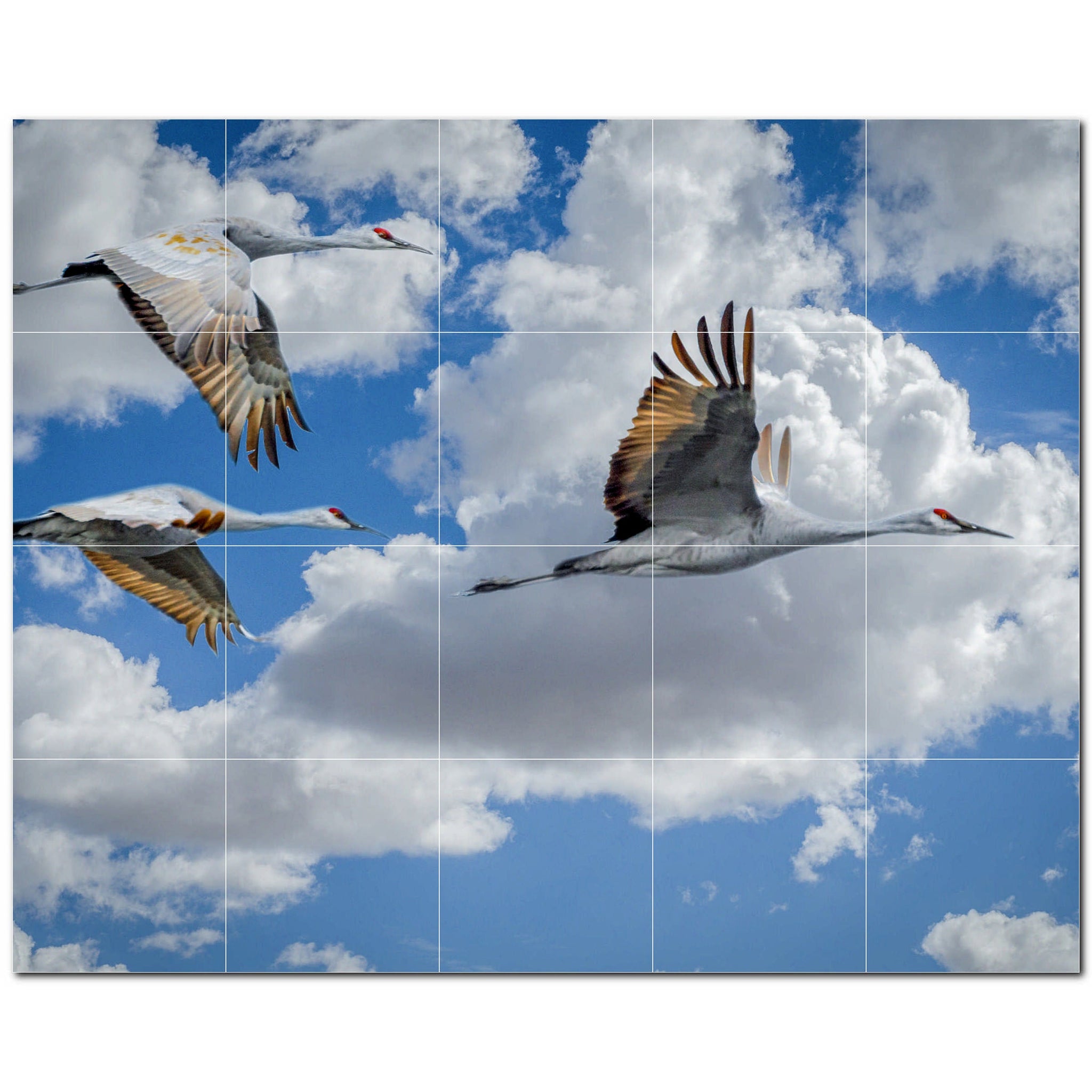 bird ceramic tile wall mural kitchen backsplash bathroom shower p500140