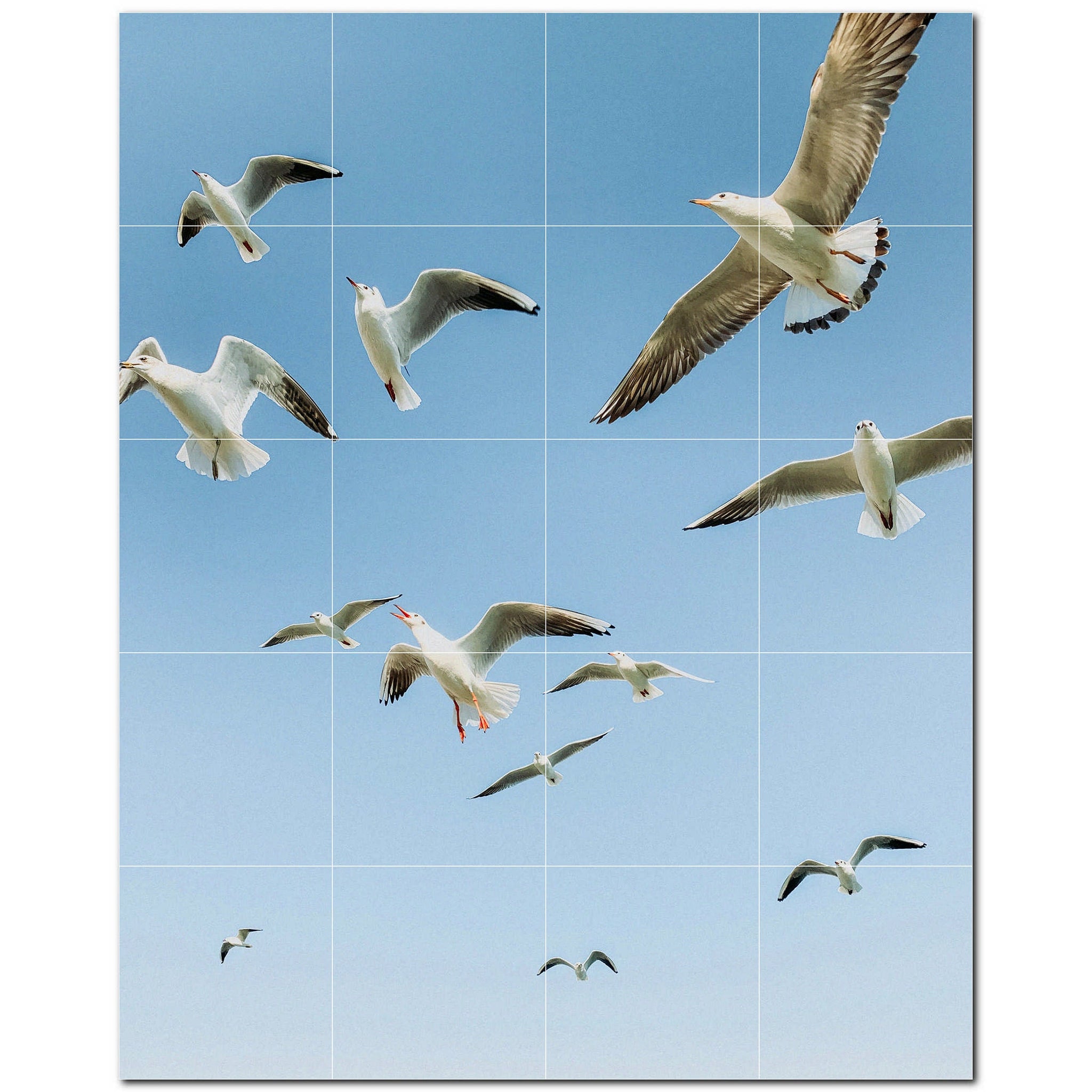 bird ceramic tile wall mural kitchen backsplash bathroom shower p500145