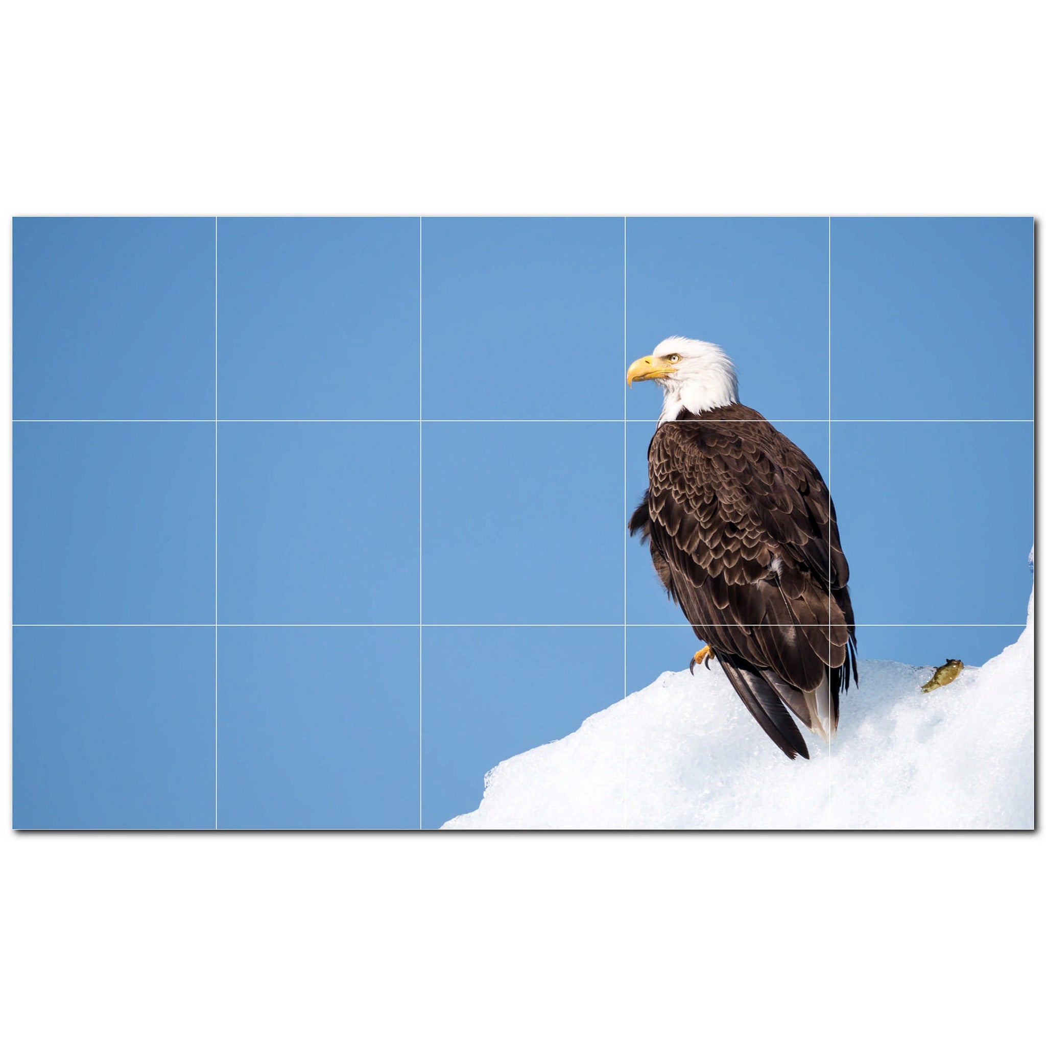 bird ceramic tile wall mural kitchen backsplash bathroom shower p500147