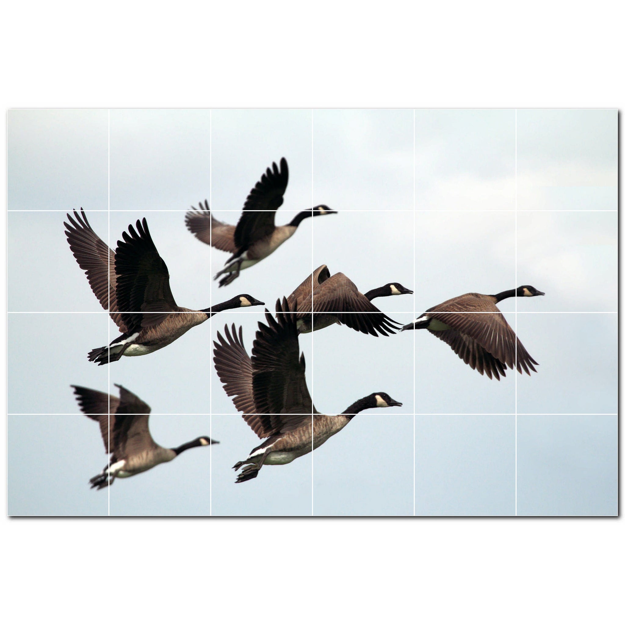 bird ceramic tile wall mural kitchen backsplash bathroom shower p500148