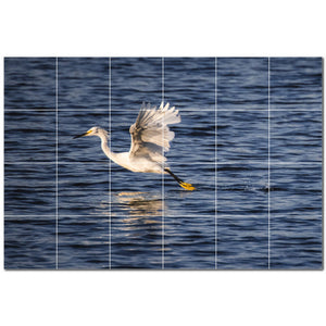 bird ceramic tile wall mural kitchen backsplash bathroom shower p500153