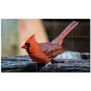 bird ceramic tile wall mural kitchen backsplash bathroom shower p500157