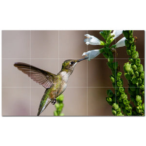 bird ceramic tile wall mural kitchen backsplash bathroom shower p500158