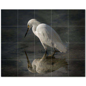 bird ceramic tile wall mural kitchen backsplash bathroom shower p500162