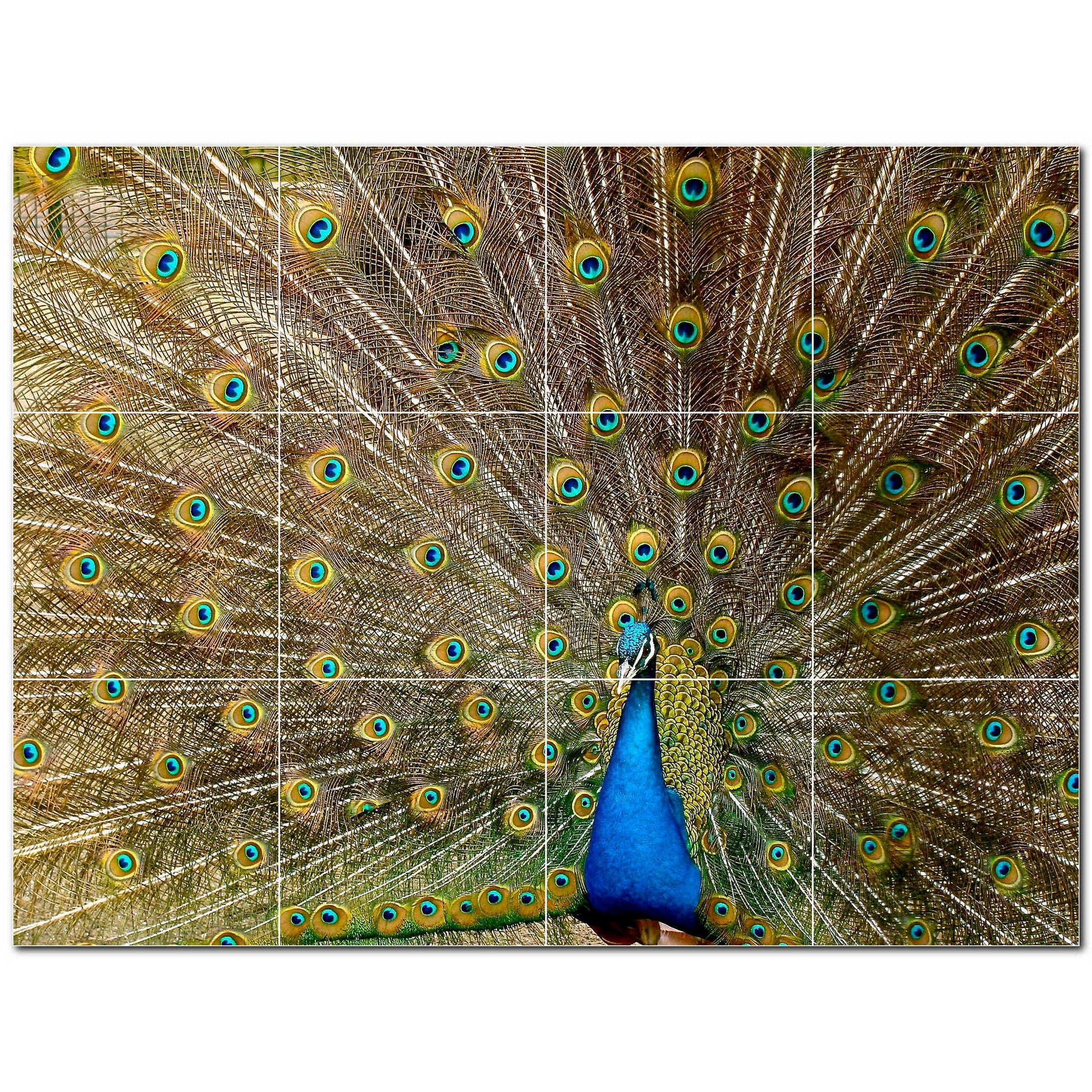 bird ceramic tile wall mural kitchen backsplash bathroom shower p500197