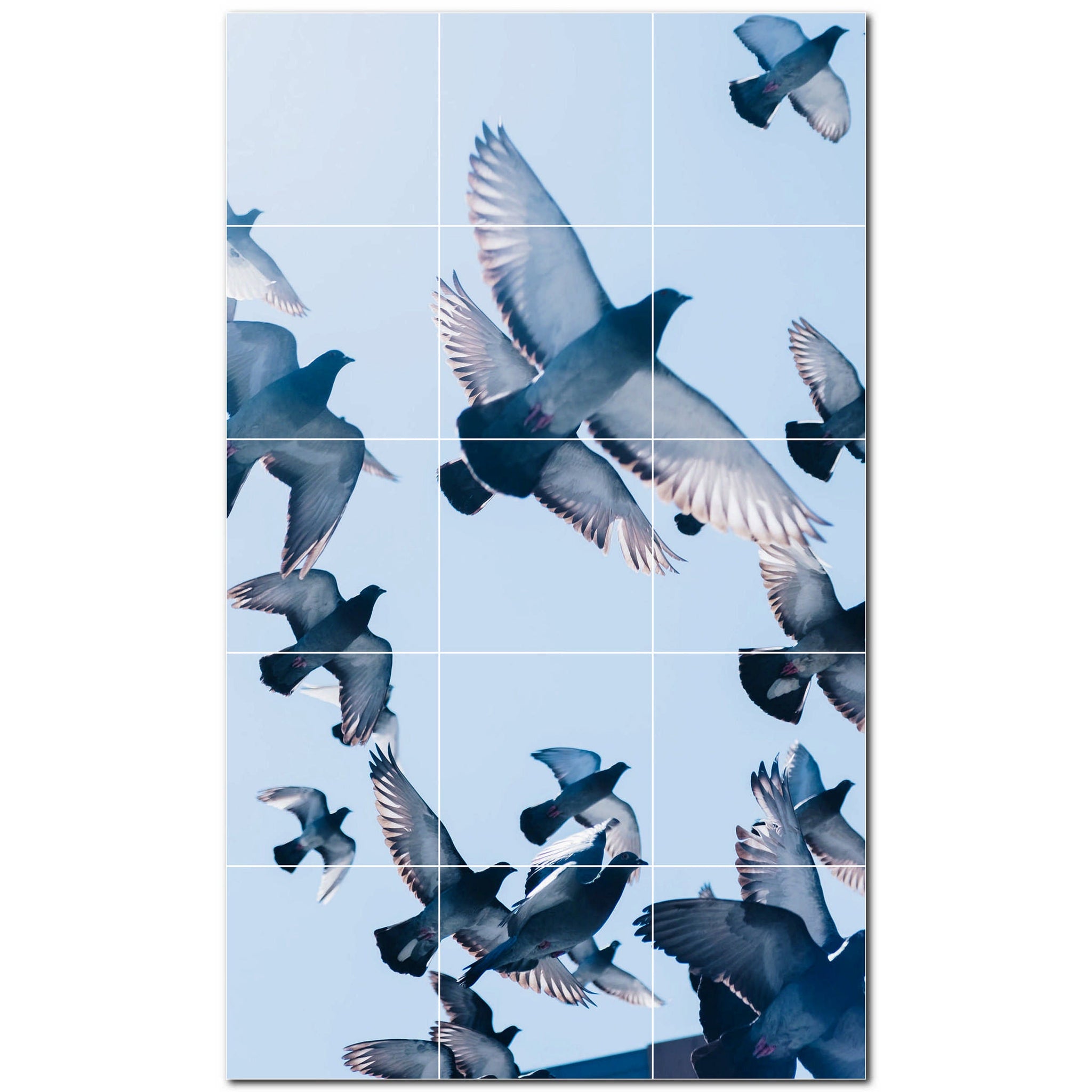Bird Photo Tile Murals – Picture-Tiles.com