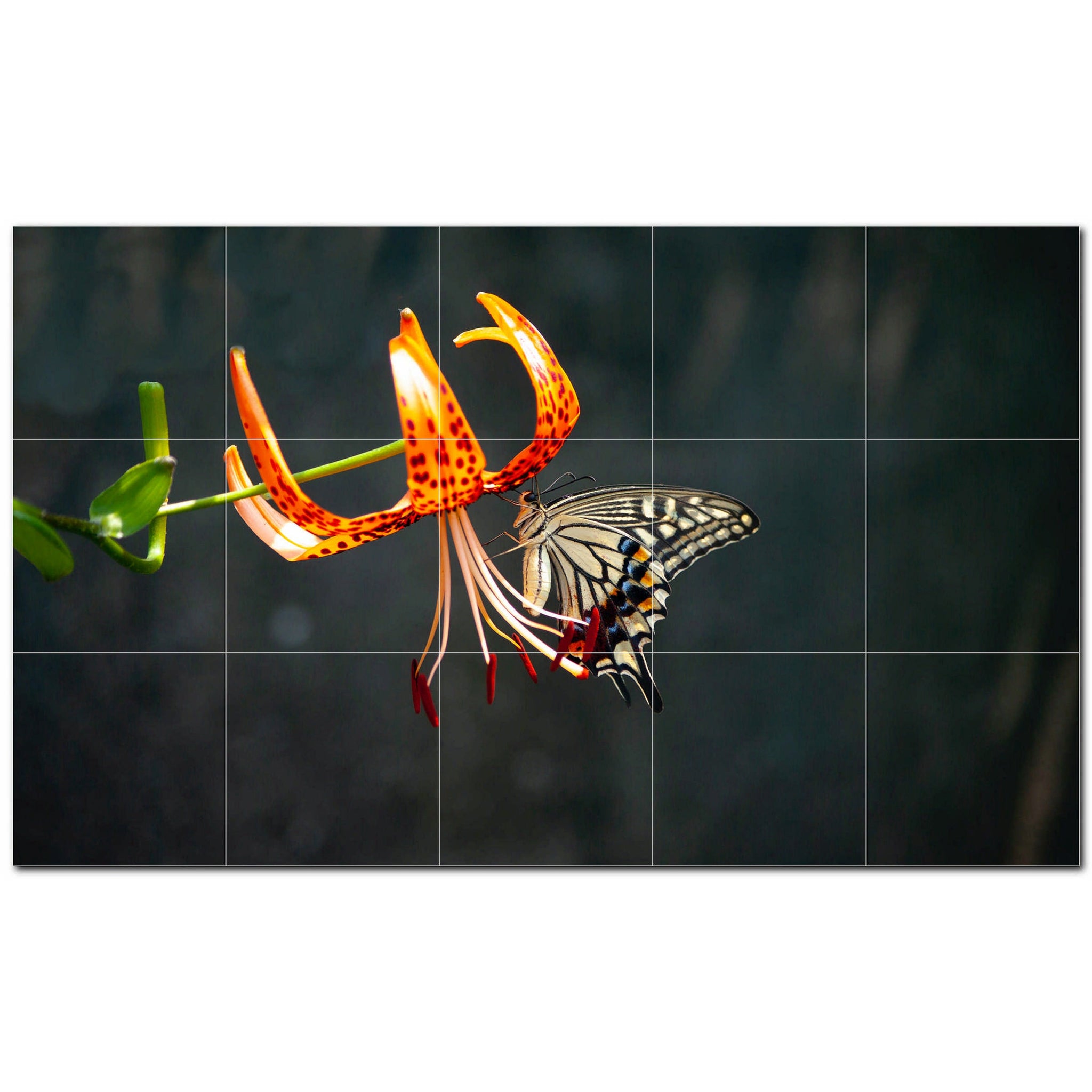 butterfly ceramic tile wall mural kitchen backsplash bathroom shower p500276