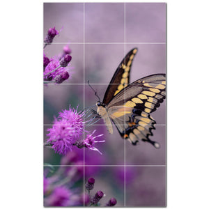 butterfly ceramic tile wall mural kitchen backsplash bathroom shower p500278