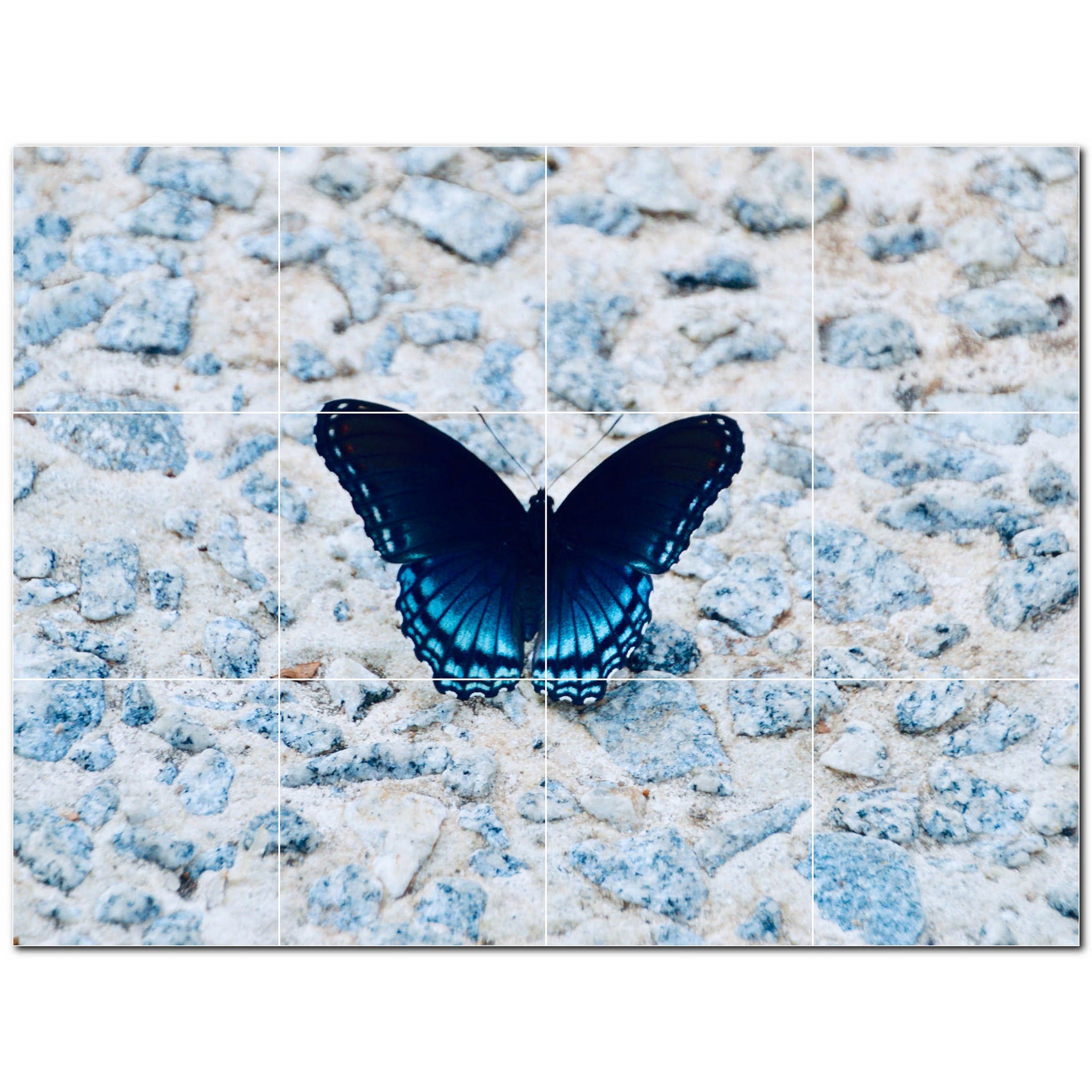 butterfly ceramic tile wall mural kitchen backsplash bathroom shower p500279