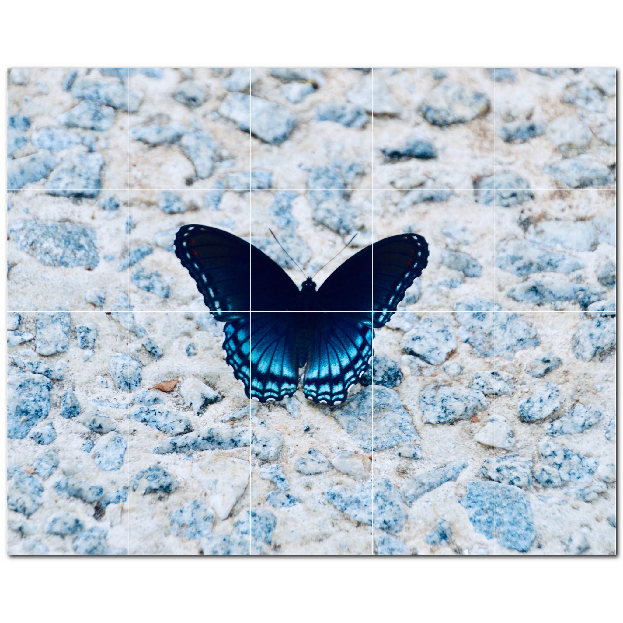 butterfly ceramic tile wall mural kitchen backsplash bathroom shower p500279