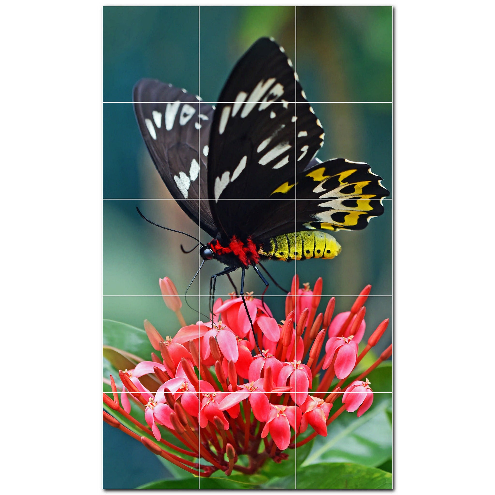 butterfly ceramic tile wall mural kitchen backsplash bathroom shower p500281