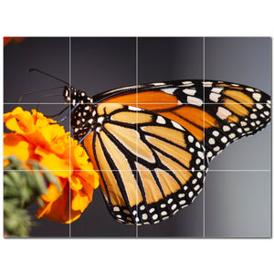 butterfly ceramic tile wall mural kitchen backsplash bathroom shower p500283