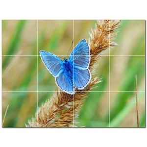 butterfly ceramic tile wall mural kitchen backsplash bathroom shower p500285