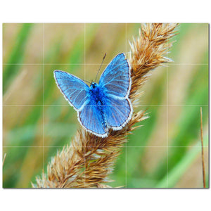 butterfly ceramic tile wall mural kitchen backsplash bathroom shower p500285