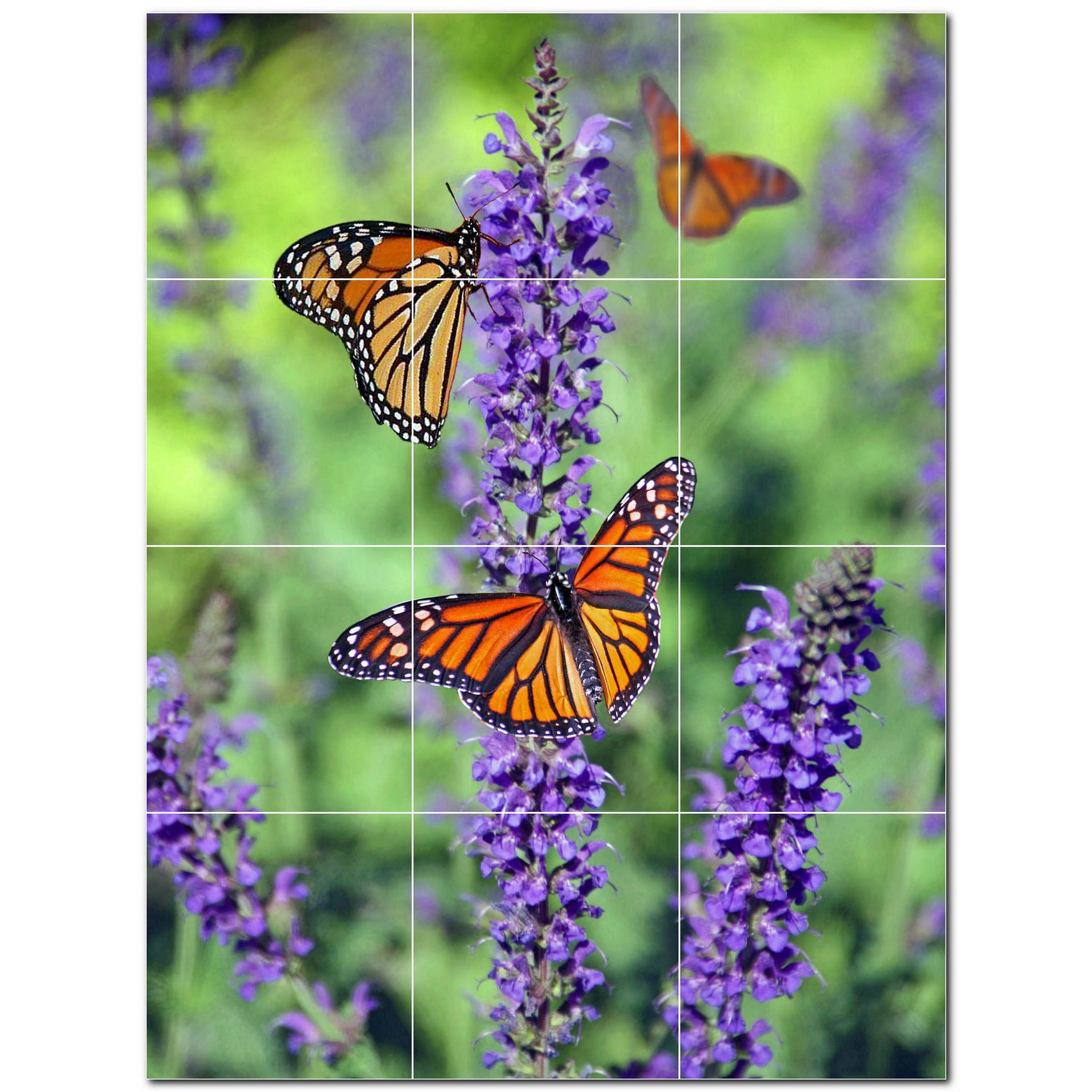 butterfly ceramic tile wall mural kitchen backsplash bathroom shower p500288